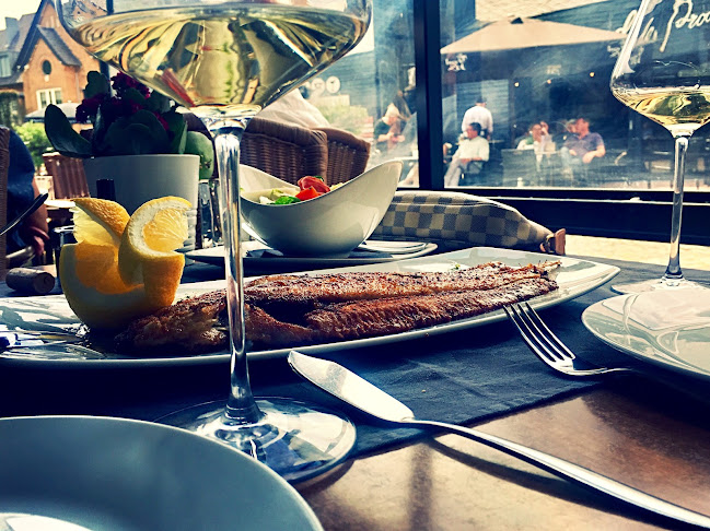 Comentarii opinii despre Genieterij het Verdrag