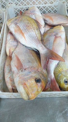 Ridderhof 18, 2402 ST Alphen aan den Rijn