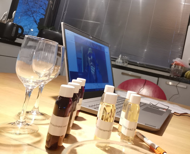 Comentarii opinii despre Wijnproeven.nu