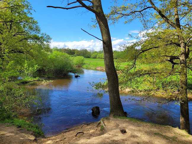 Comments and reviews of Restaurant Paviljoen Lutterzand