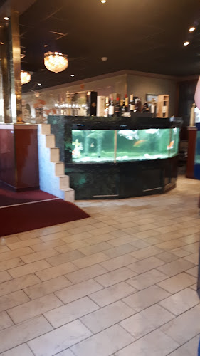 Comentarii opinii despre Chinees Specialiteiten Restaurant Kota Radja