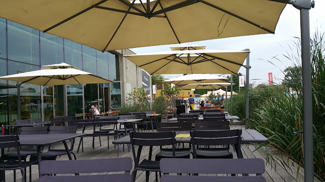 Opinii despre Taj Mahal Rotterdam în Rotterdam - Horeca