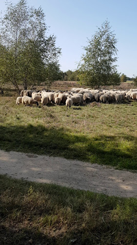 Restaurant Paviljoen Lutterzand - De Lutte