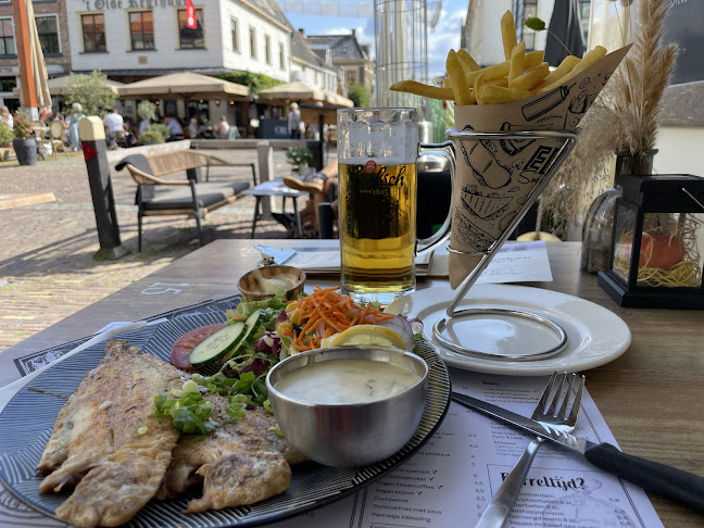 Comentarii opinii despre De Elburger