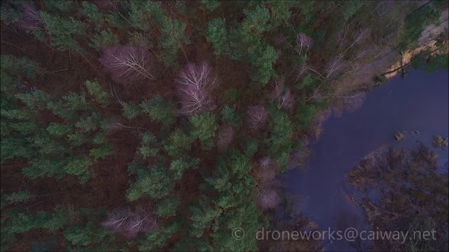 Restaurant Paviljoen Lutterzand Phone number