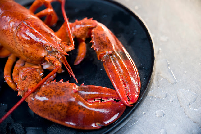 Opinii despre Harbour Café în Groningen - Horeca