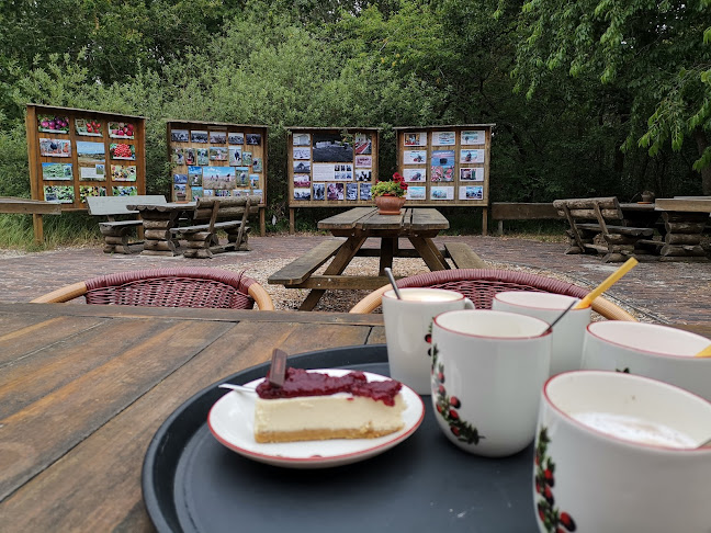 Badweg West 1, 8881 HG West-Terschelling