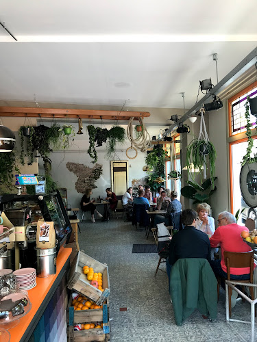 Wadapartja Westerhaven