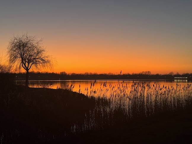 Opinii despre Toolenburger Beach în Hoofddorp - Horeca