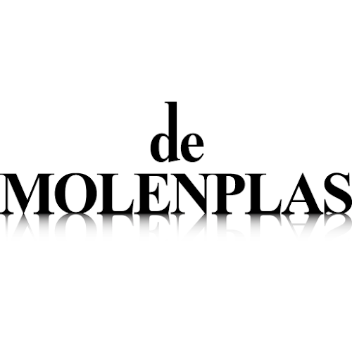 Comments and reviews of De Molenplas