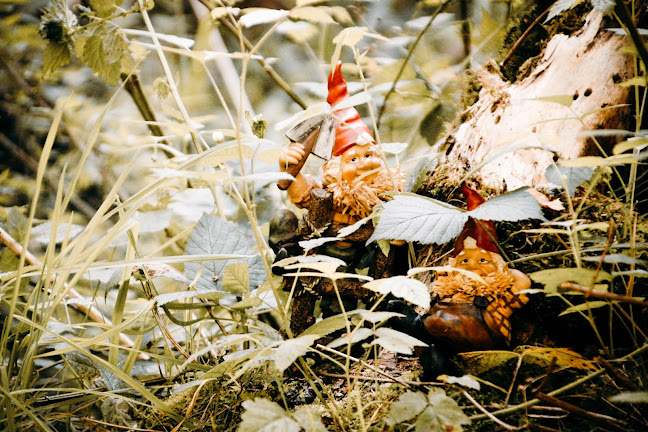 Roggebotweg 21, 8251 PS Dronten