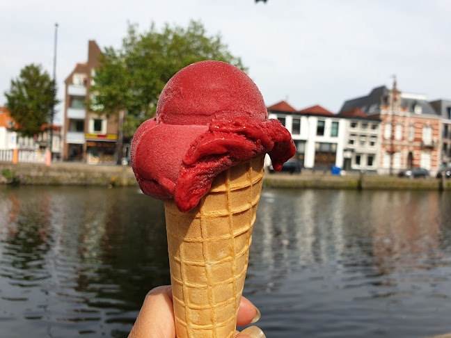 Opinii despre De IJswinckel Vlaardingen în Vlaardingen - Horeca