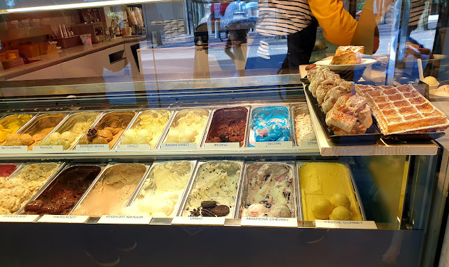 Comments and reviews of De IJsvogel