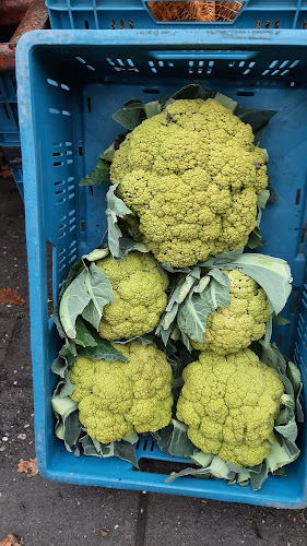 Viaductstraat 154, 9561 AJ Ter Apel