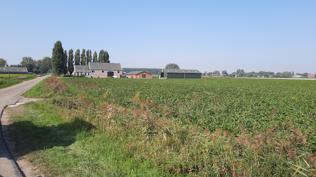 Reviews of P. Van Dortmont in Hank - Horeca