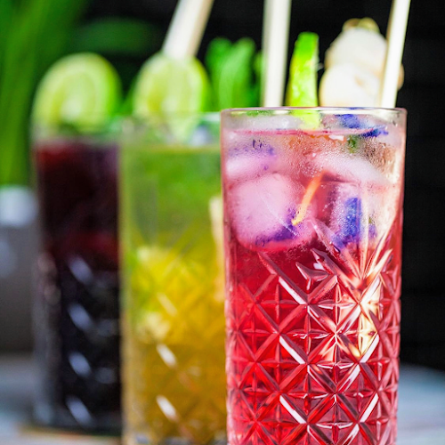 The Wings Paradise Den Haag - Horeca