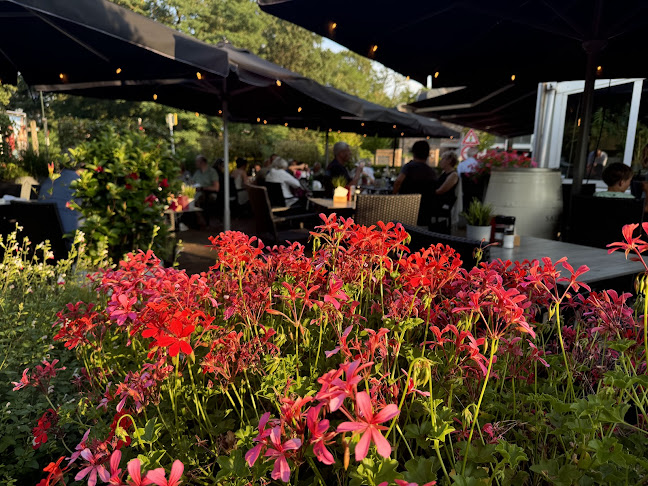 Brasserie 't Stationskoffiehuis Open Times