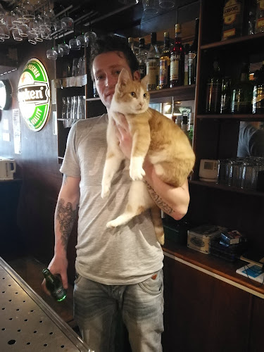 Cafe Tuinzicht - Harlingen