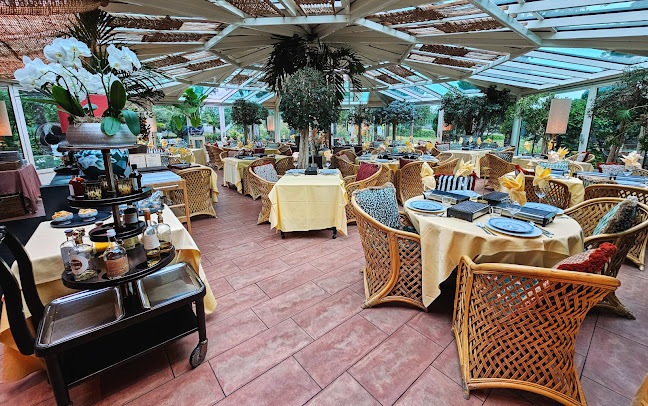 Flamingo Paradise - Wassenaar