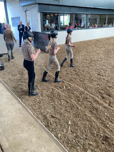 Comentarii opinii despre Lyts Buthus