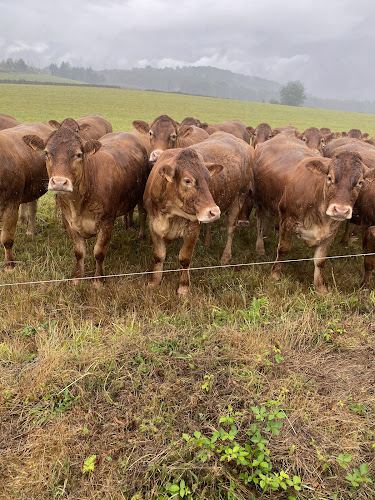 Zijlstra Culinair Vlees
