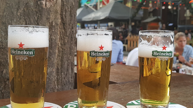 Ter Marsch & Co - Rotterdam