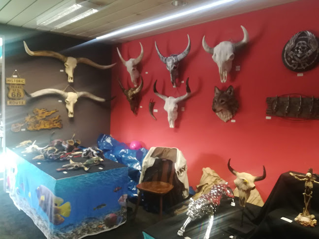 Meijerijstraat 50, 5461 HJ Veghel, Nederland