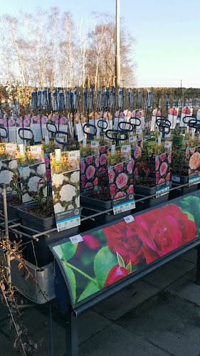 Comentarii opinii despre 't Grachthuys Bredevoort