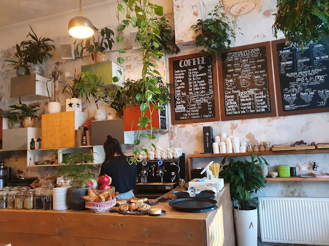 Reviews of Fjaka Amsterdam in Amsterdam - Horeca