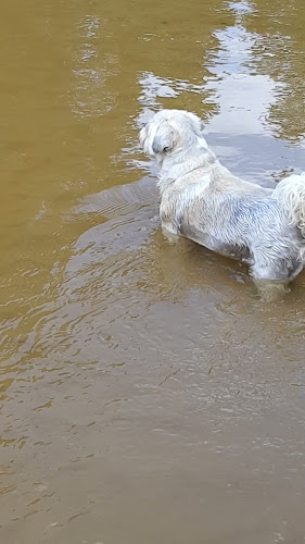 Restaurant Paviljoen Lutterzand - Horeca