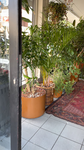 Salt & Pepper BBQ & Grill Restaurant - Horeca