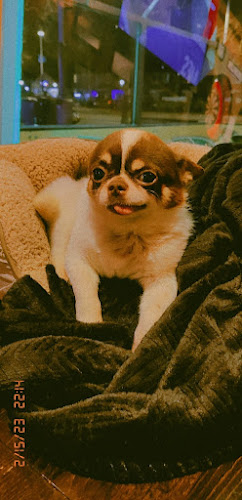 Slotermeerlaan 75, 1064 HA Amsterdam