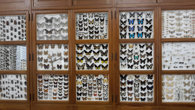 Opinii despre Brasserie 't Vaerhóes în Steyl - Horeca