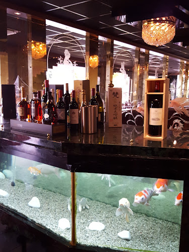 Chinees Specialiteiten Restaurant Kota Radja - Horeca