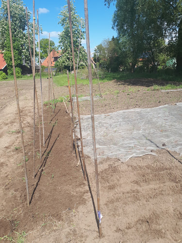 Groenteman Piet Nijboer - Oldenzaal