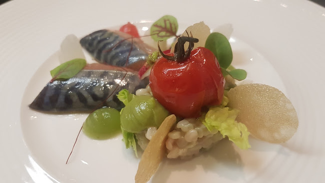 Hoff'nar - Dordrecht