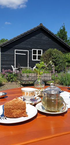 Comentarii opinii despre Theetuin Binnen & Buiten