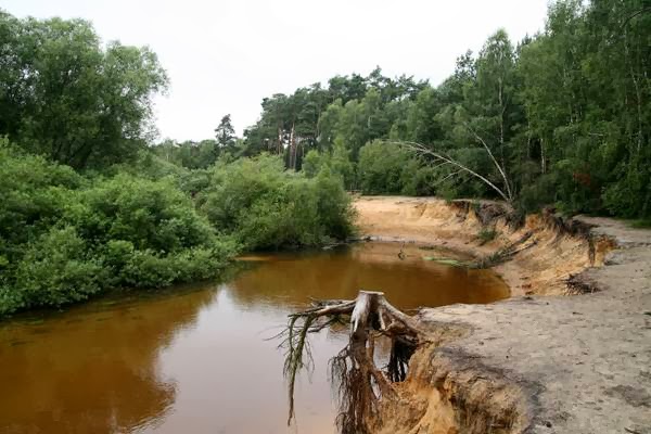 Restaurant Paviljoen Lutterzand - De Lutte