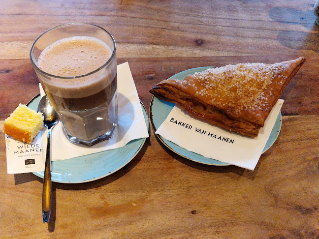 Comentarii opinii despre Van Maanen