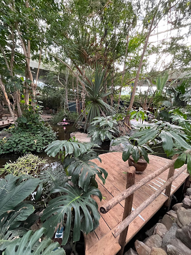 MarketDome Het Meerdal - America