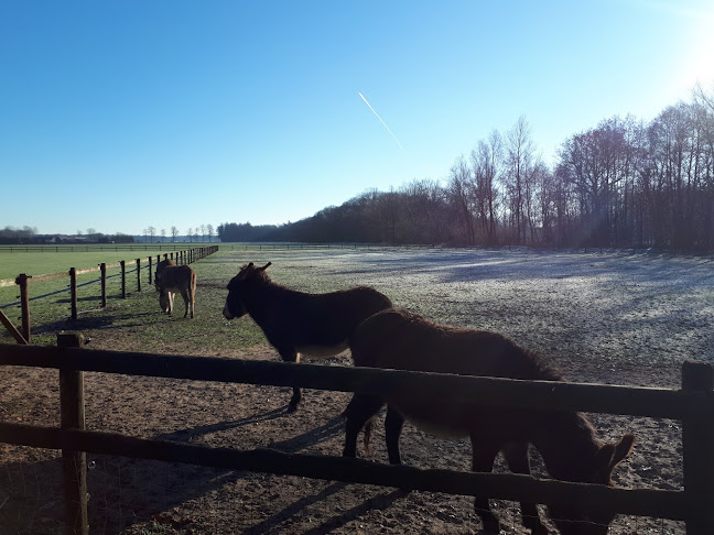 Bed & Breakfast De Balkende Ezel Open Times