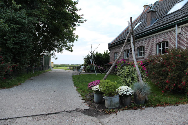 Terdiek 20, 1733 JE Nieuwe Niedorp