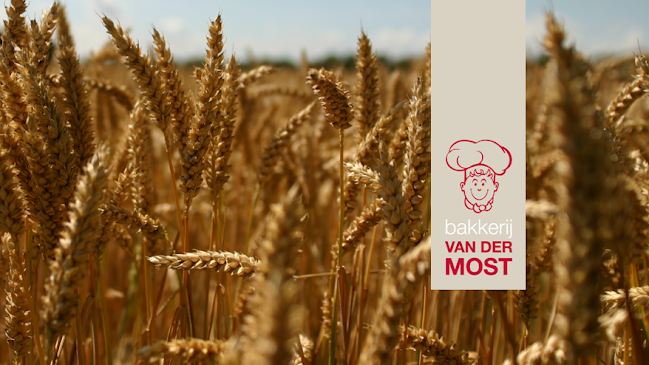 Brood en Banket bakkerij van der Most - Horeca