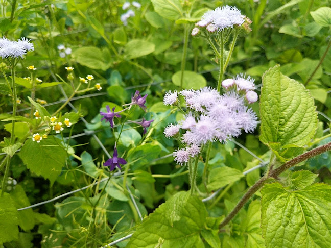 Stoutenburgerlaan 6, 3835 PB Stoutenburg