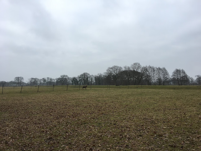 Herterij Twente - Geesteren