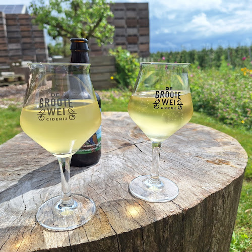 Prinsenmaatweg 3, 7224 NE Rha