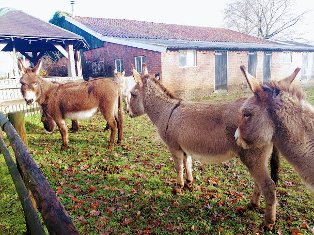 Bed & Breakfast De Balkende Ezel - Horeca