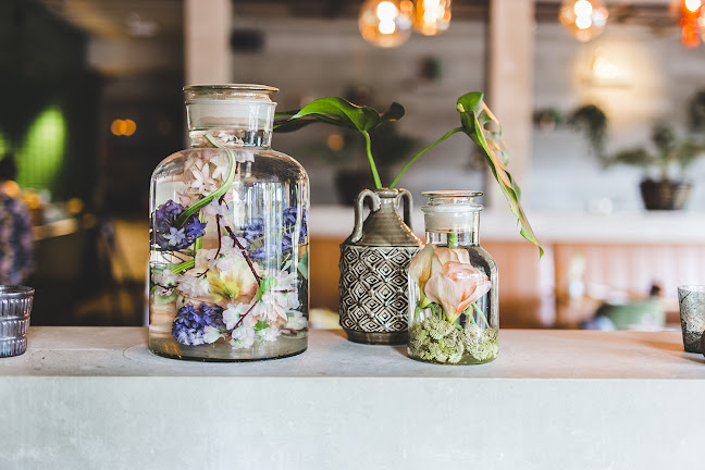 Kralingseweg 224, 3062 CG Rotterdam