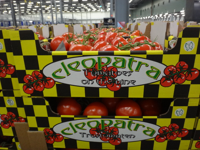 Fresh Garden Holland B.V. - Zuid-Scharwoude