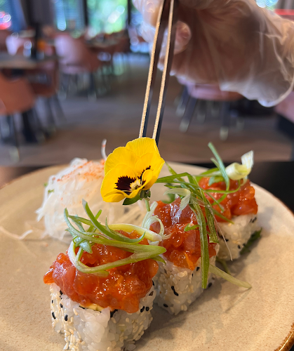 Opinii despre SENSE sushi & tea bar în Goes - Horeca